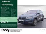 Skoda Karoq 1.5 TSI DSG Business Amundsen Canton Kamer - gebrauchte Skoda Karoq aus dem Jahr 2022
