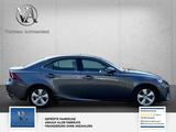 Lexus IS 300h 1 Hand. Scheckheft. leder. TÜV neu. - Lexus: L