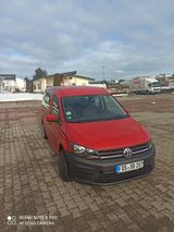 Volkswagen Caddy Maxi - Volkswagen Caddy Maxi: Kombi