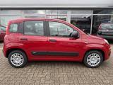 Fiat Panda 1.0 Hybrid SITZHEIZUNG,ALLWETTER,TFT-TACHO - Fiat Panda Tageszulassungen mit Benzin-Antrieb