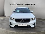 Volvo XC40 B3 B DKG Core Winter-Paket getönte Scheiben - Volvo aus 2023
