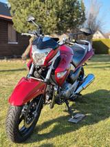 Suzuki Inazuma  - MOTORRAD VON 126 BIS 250 CCM
