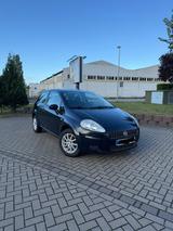 Fiat Punto 1.2 8V - - gebrauchte Fiat Punto aus dem Jahr 2009