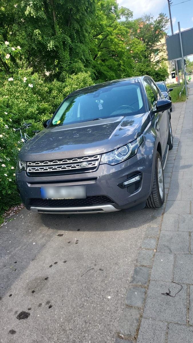 Andere Andere