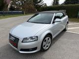 Audi A3 Cabriolet Attraction/Alcantara/17oll/TÜV neu - Audi A3 bis 5.000 Euro