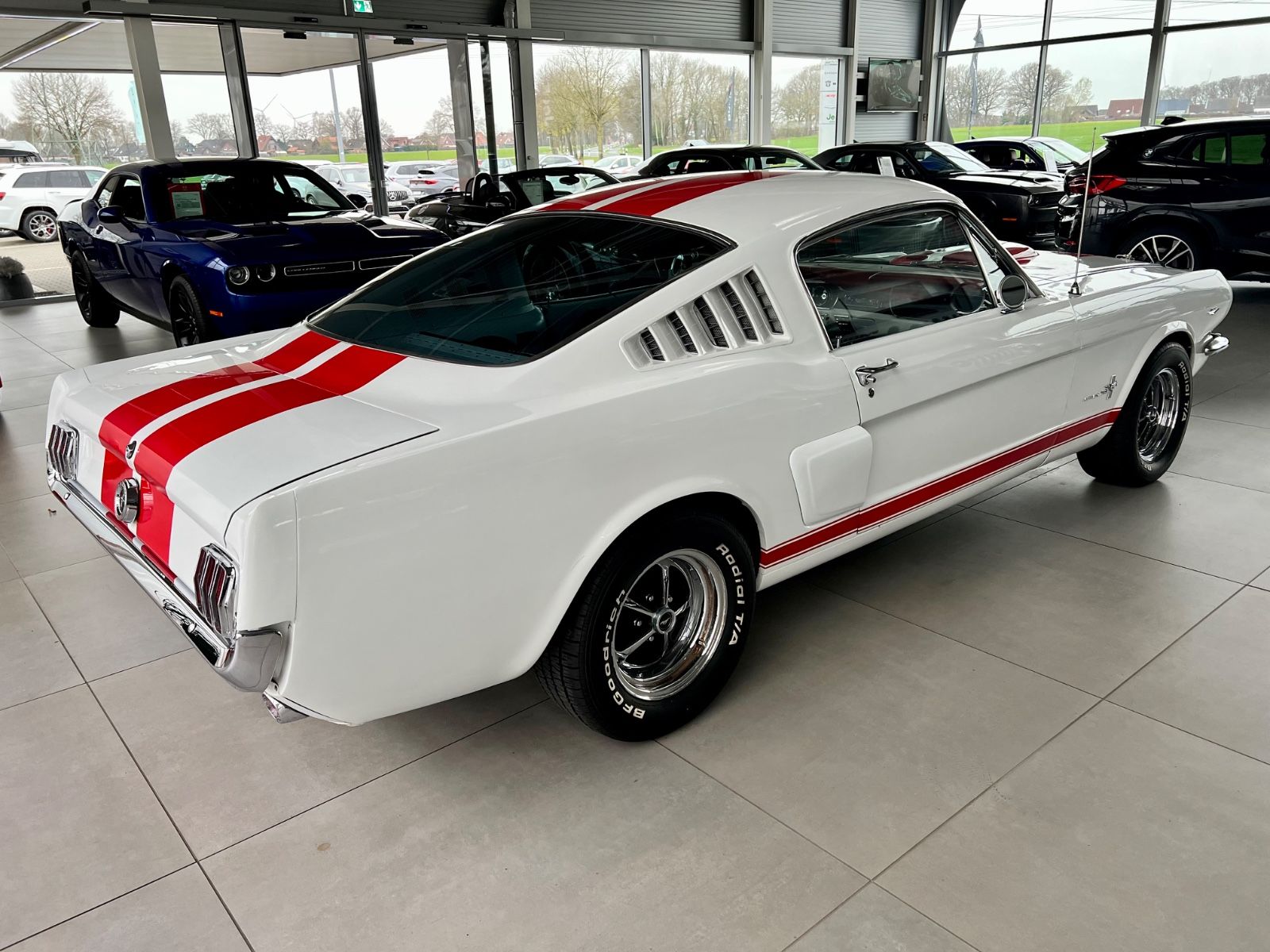 Fahrzeugabbildung Ford Mustang Fastback 4,7 V8 2+2 Fastback Pony