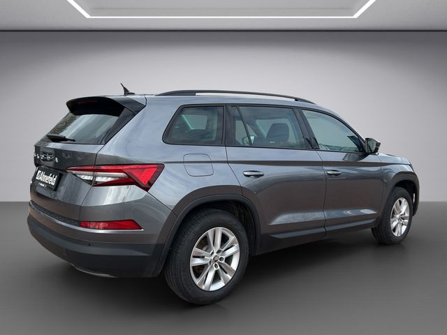 Kodiaq Ambition