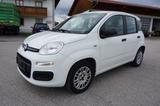 Fiat Panda Easy Klima 1.Hand Service/HU neu - Fiat: Service