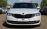 Skoda Octavia 2.0 TDI/VOLL SHEFT/NAVI/LED/TEMP/PDC - Skoda Octavia Gebrauchtwagen in Ludwigshafen