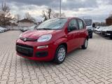 Fiat Panda Pandina 1.0 Icon *Radio Klima PDC 5Sitzer* - Fiat Panda Neuwagen mit Benzin-Antrieb