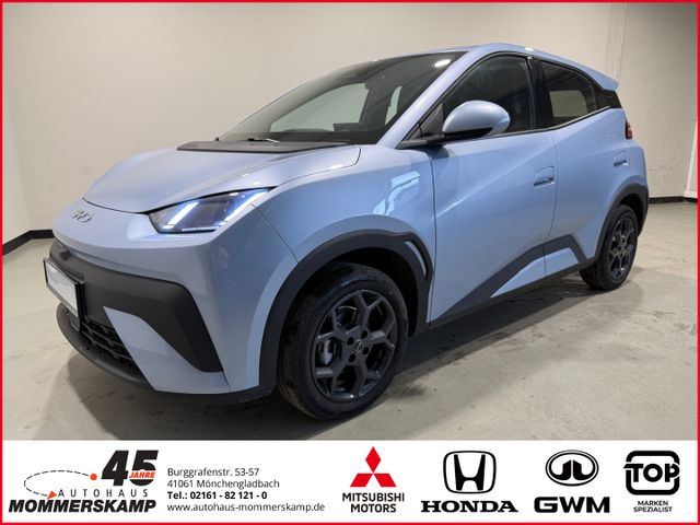 BYD DOLPHIN SURF