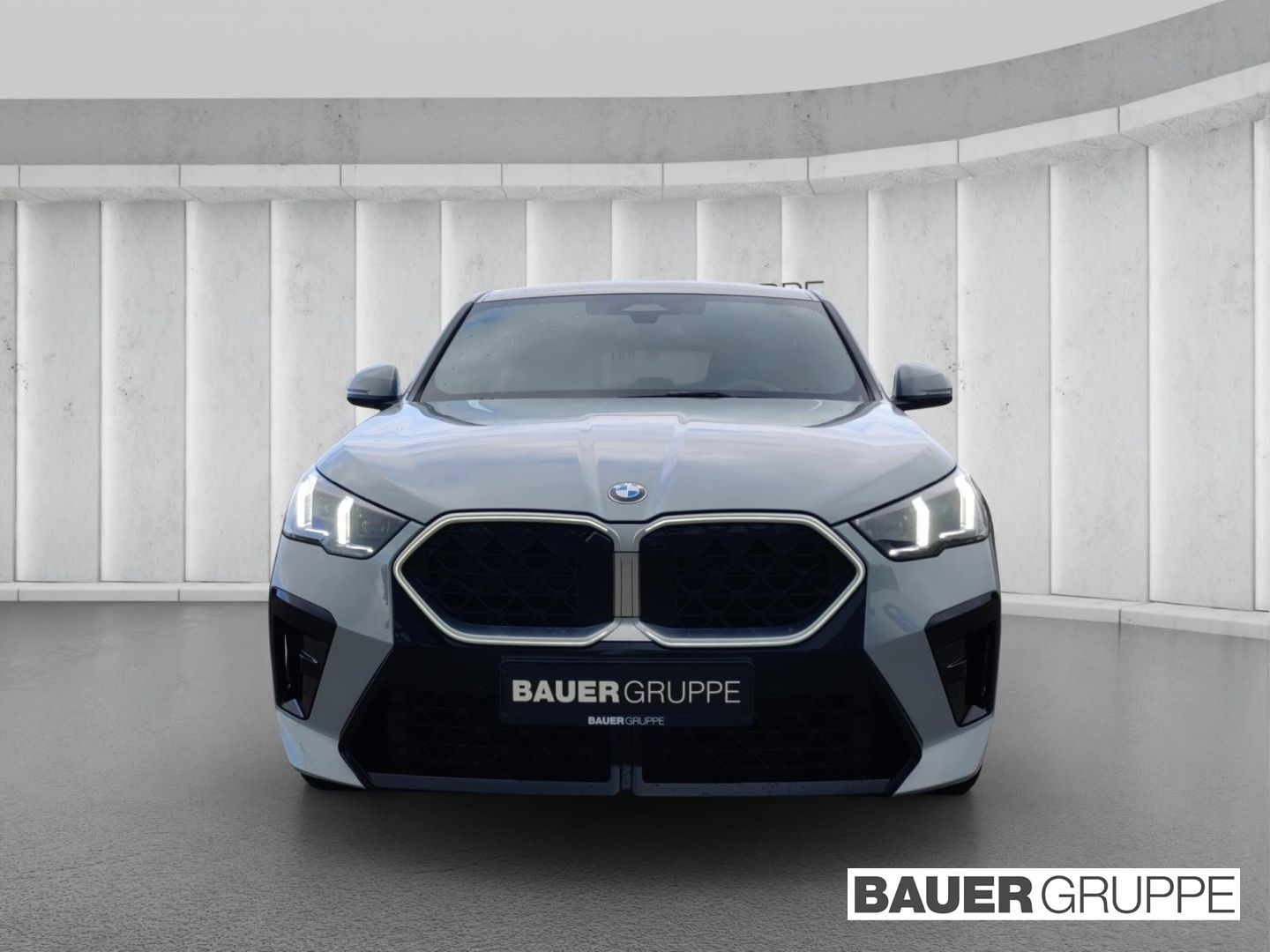 BMW X2 xDrive20d M Sport AHK HUD DA Plus Memory H K foto 2
