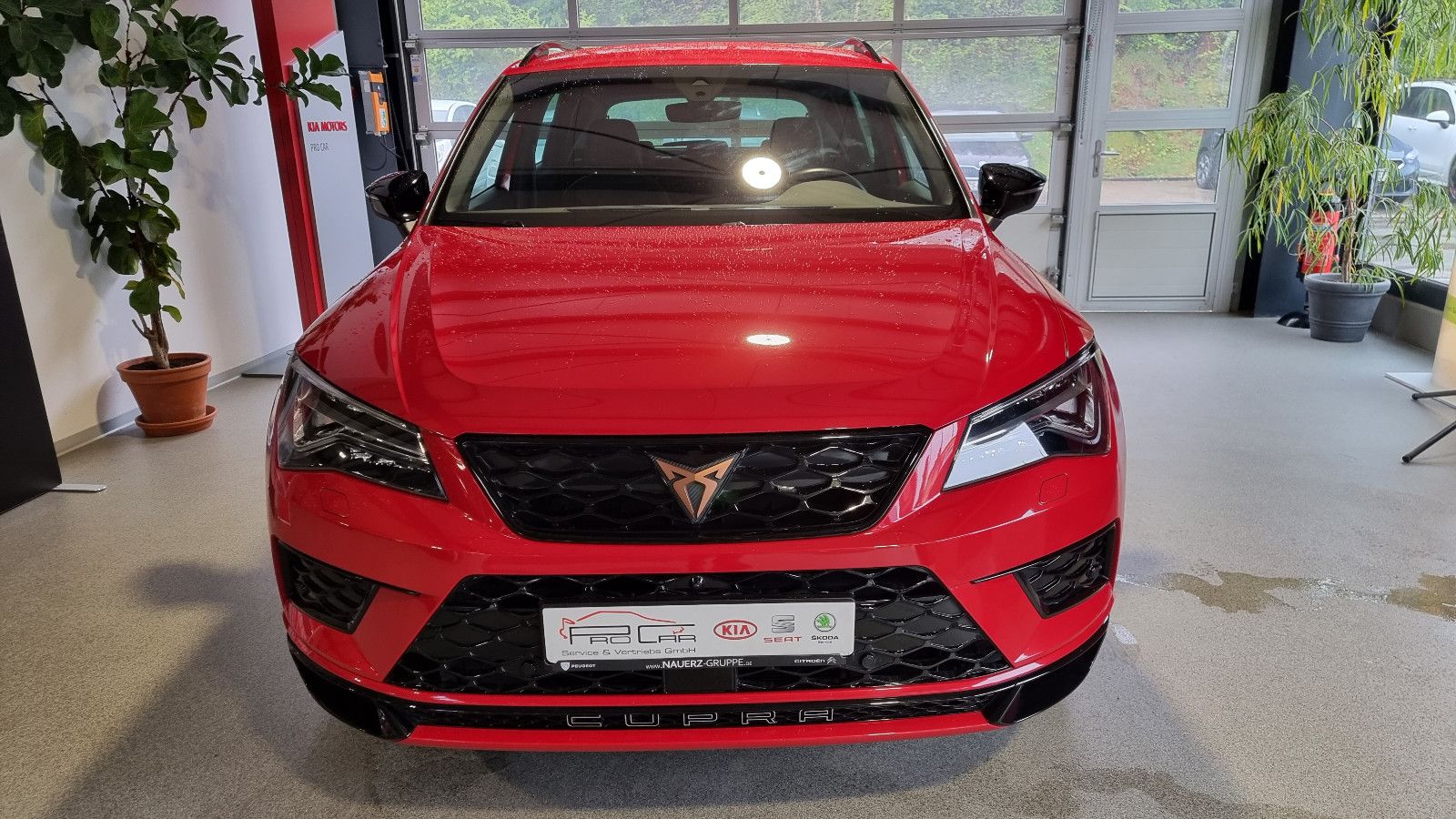 Fahrzeugabbildung CUPRA Ateca 2.0 TSI DSG 4Drive