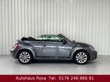 Volkswagen Beetle 2.0 TDI Cabriolet Sportpaket Käfer - Volkswagen: Kaefer