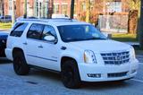 Cadillac Escalade 6.2 V8 Platinum Autom. Prins LPG  - Cadillac aus 2015