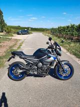 Yamaha Xj6 ABS |TÜV + Inspektion + Reifen NEU| - YAMAHA XJ6N
