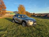 Lexus NX 300h AWD  Vollausstattung, scheckheftg - Lexus NX 300: H