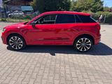 Audi SQ2 2.0 TFSI quattro 19 ZOLL LED AHK HEAD UP - Audi SQ2 aus 2019
