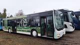 MAN A21 A20/Citaro - MAN Lübeck