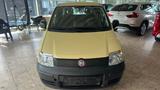 Fiat Panda 1.1 8V Active - Fiat Panda: Gelb