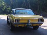 Ford Mustang 289 V8 (1968) H Zulassung - gebrauchte Ford Mustang aus dem Jahr 1968