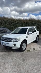 Land Rover Freelander 2.2 SD4 S.W. HSE - weiße Land Rover Freelander