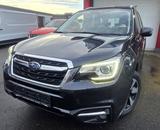 Subaru Forester Exclusive  1.Hand+LED+AHK+Panoramadach+ - Subaru Forester mit Diesel-Antrieb: Exclusive