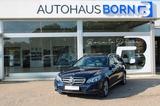 Mercedes-Benz E 250 CDI 4Matic T-Modell Avantgarde Distronic - Mercedes-Benz E 250: Blau