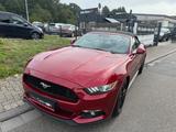 Ford Mustang Basis Convertible Tuv neu1.Jahr Garantie - Ford Mustang in Mannheim