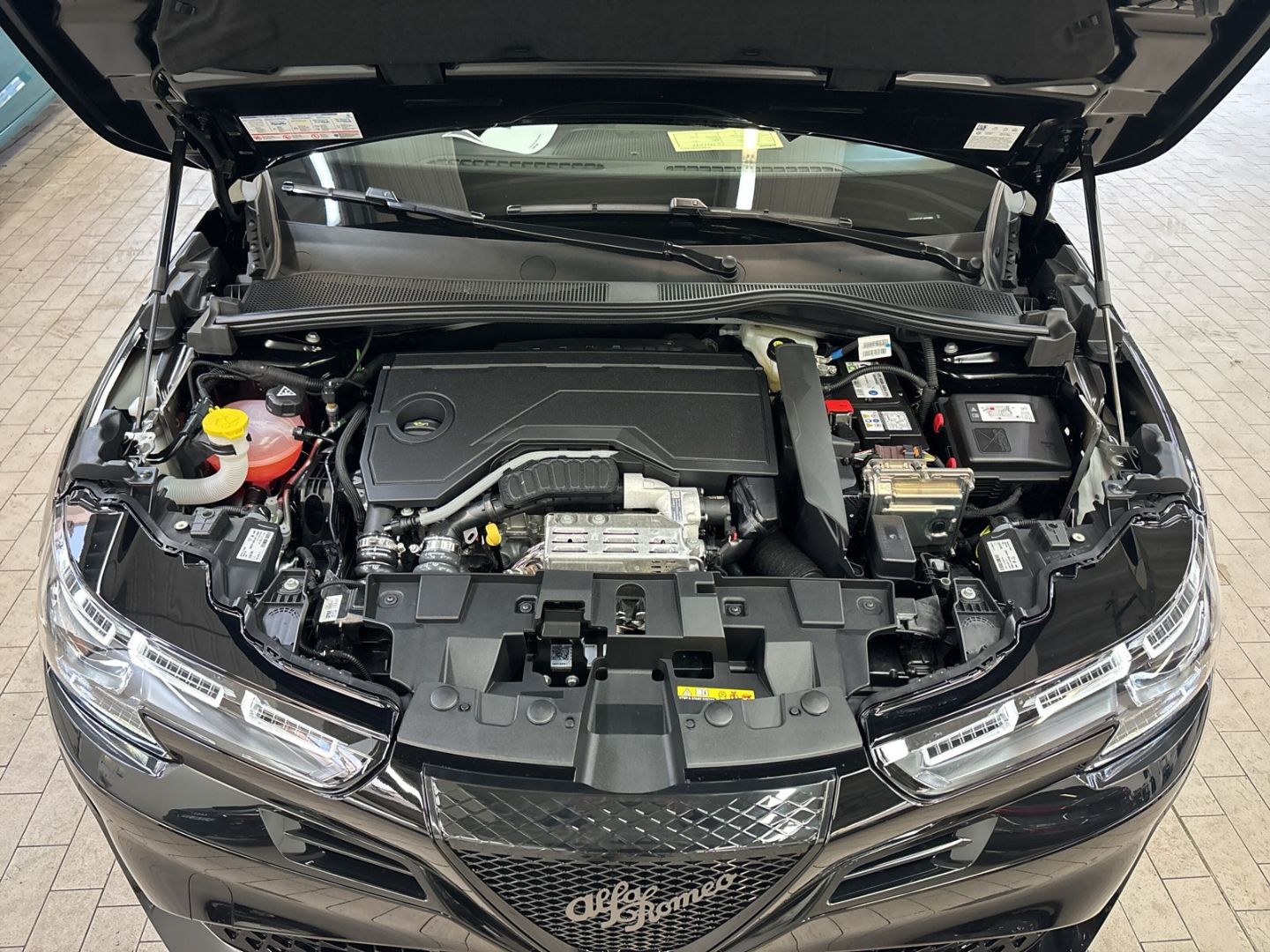 Alfa Romeo Junior - Bild 14