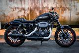 Harley-Davidson XL1200CX Roadster Sportster  - Scrambler Style - - HARLEY-DAVIDSON SPORTSTER 1200 ROADSTER