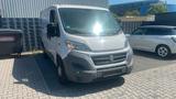 Fiat Ducato - Fiat Ducato Gebrauchtwagen in Köln