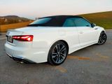 Audi S5 TFSI tiptronic quattro Cabrio AHK Standheizun - Audi S5 aus 2020