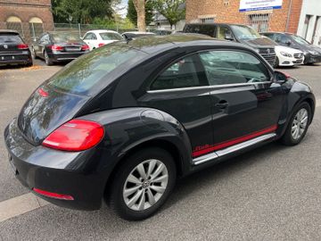 Volkswagen Beetle - 7