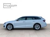 Skoda Octavia Combi 2.0 TDI DSG | SELECTION | CARPLAY - Skoda Octavia Jahreswagen mit Diesel-Antrieb