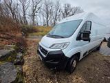 Fiat Ducato - Fiat Ducato Gebrauchtwagen in Stuttgart