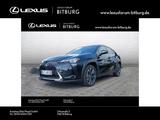 Lexus UX 250h Style Edition /ACC/FLA/ParkAss./SHZ/LM - Used cars