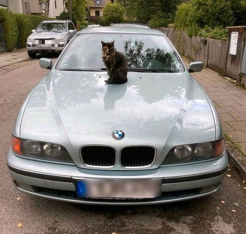 BMW 520i (E39) - super Zustand!