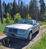 Mercedes-Benz 220 - Mercedes-Benz 220 mit Benzin-Antrieb: Leder