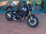 Benelli Leoncino 500 1.HD Neuwertig - BENELLI LEONCINO 500