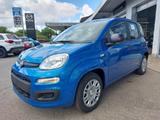 Fiat Panda Klima PDC 5-Sitzer Bluetooth Radio-DAB... - Fiat Panda: Sitzer