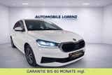 Skoda FABIA  TOUR  / AUTOMATIK / KLIMAAUTOMATIK /SHZ - Skoda Fabia: Tour