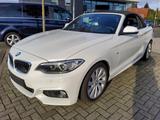 BMW 228i Cabrio M-Sportpaket+LED+Navi+Automatik - BMW 228 Gebrauchtwagen