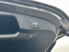Fahrzeugabbildung Ford Focus Turnier 1.5 ST-Line X *LED*APP*TEMP*SHZ*18