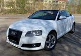 Audi A3 Cabrio 1.9TDI*Navi*Bose*Leder*PDC*2.H - Audi A3 aus 2008: 1.9