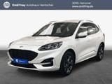 Ford Kuga 1.5 EcoBoost ST-LINE, AHK, Kamera, GJR - Ford Gebrauchtwagen in Hannover