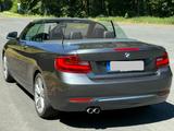 BMW 228i Cabrio BJ 2015 Automatik 75.000 km - BMW: Cabrio, 7