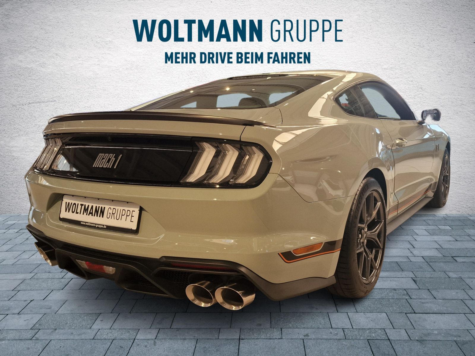 Fahrzeugabbildung Ford Mustang Mach 1 Sonder Edition