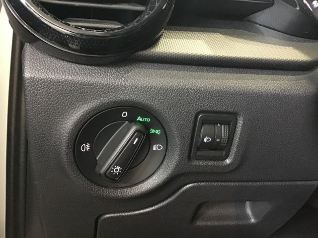 Fahrzeugabbildung Skoda Fabia Active 1.0 TSI PDC/SHZ/LED/SmartLink/DAB
