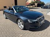 Audi SOMMER SONNE - AUDI S5 Cabriolet  - Audi S5 aus 2012